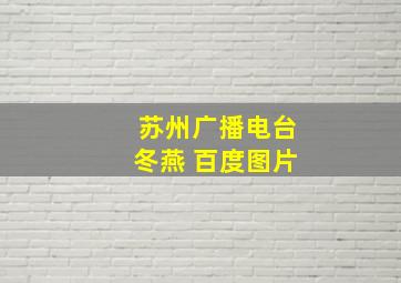 苏州广播电台冬燕 百度图片